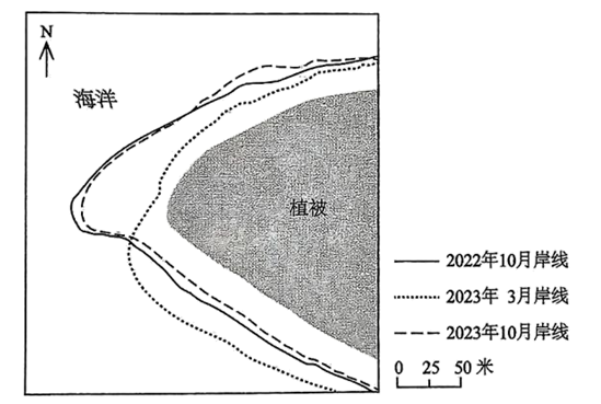 西北太平洋某珊瑚岛礁属热带季风气候,呈长条形,沙堤环绕,植被繁茂。该岛沙嘴区受盛行风主导呈季节性变化,亦受波浪和潮汐作用。此外,极端风暴事件也会对沙嘴区造成重要影响。移动固沙障根据需要灵活布设。下图示意2022年10月~2023年10月该岛沙嘴区的岸线变化。据此完成下面小题。