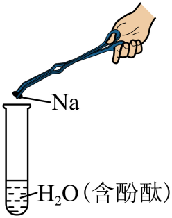 探究Na与反应