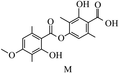 7、化合物M是从红树林真菌代谢物中分离得到的一种天然产物,其结构如图所示。下列有关M的说法正确的是