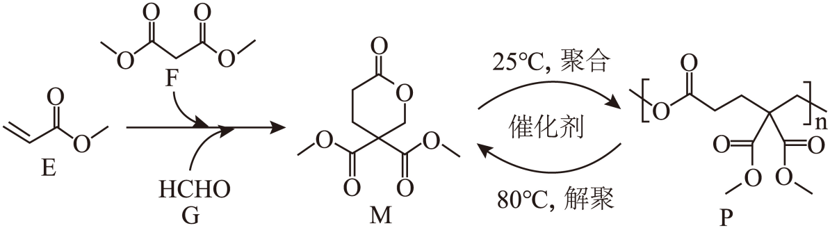 11、可持续高分子材料在纺织、生物医用等领域具有广阔的应用前景。一种在温和条件下制备高性能可持续聚酯P的路线如图所示。