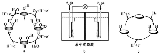 16、某理论研究认为:燃料电池(图b)的电极Ⅰ和Ⅱ上所发生反应的催化机理示意图分别如图a和图c,其中$\mathrm{O}_2$获得第一个电子的过程最慢。由此可知,理论上