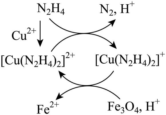9、用肼$\left(\mathrm{N}_2\mathrm{H}_4\right)$的水溶液处理核冷却系统内壁上的铁氧化物时,通常加入少量$\mathrm{CuSO}_4$,反应原理如图所示。下列说法正确的是