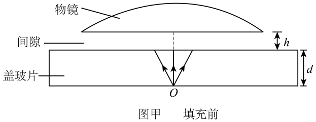 用光学显微镜观察样品时，显微镜部分结构示意图如图甲所示。