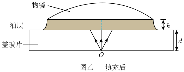 盖玻片底部中心位置O点 样品等效为点光源，为避免O点发出的光在盖玻片上方界面发生全反射，可将盖玻片与物镜的间隙用一滴油填充，如图乙所示。
