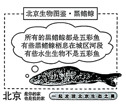 近年来,北京市的水生态保护工作成效斐然,全市八成以上水体达到了健康等级。曾经在山区清洁水体中才能见到的“五彩鱼”家族——宽鳍鱲(liè)、马口鱼和黑鳍鳈(quán)等,如今成了城区河段的常客。运用演绎推理方法,从下图中的三个性质判断可以推出( )